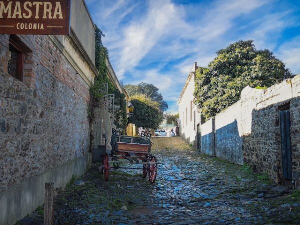 hector-ramon-perez-vBXH_a9bA-g-unsplash